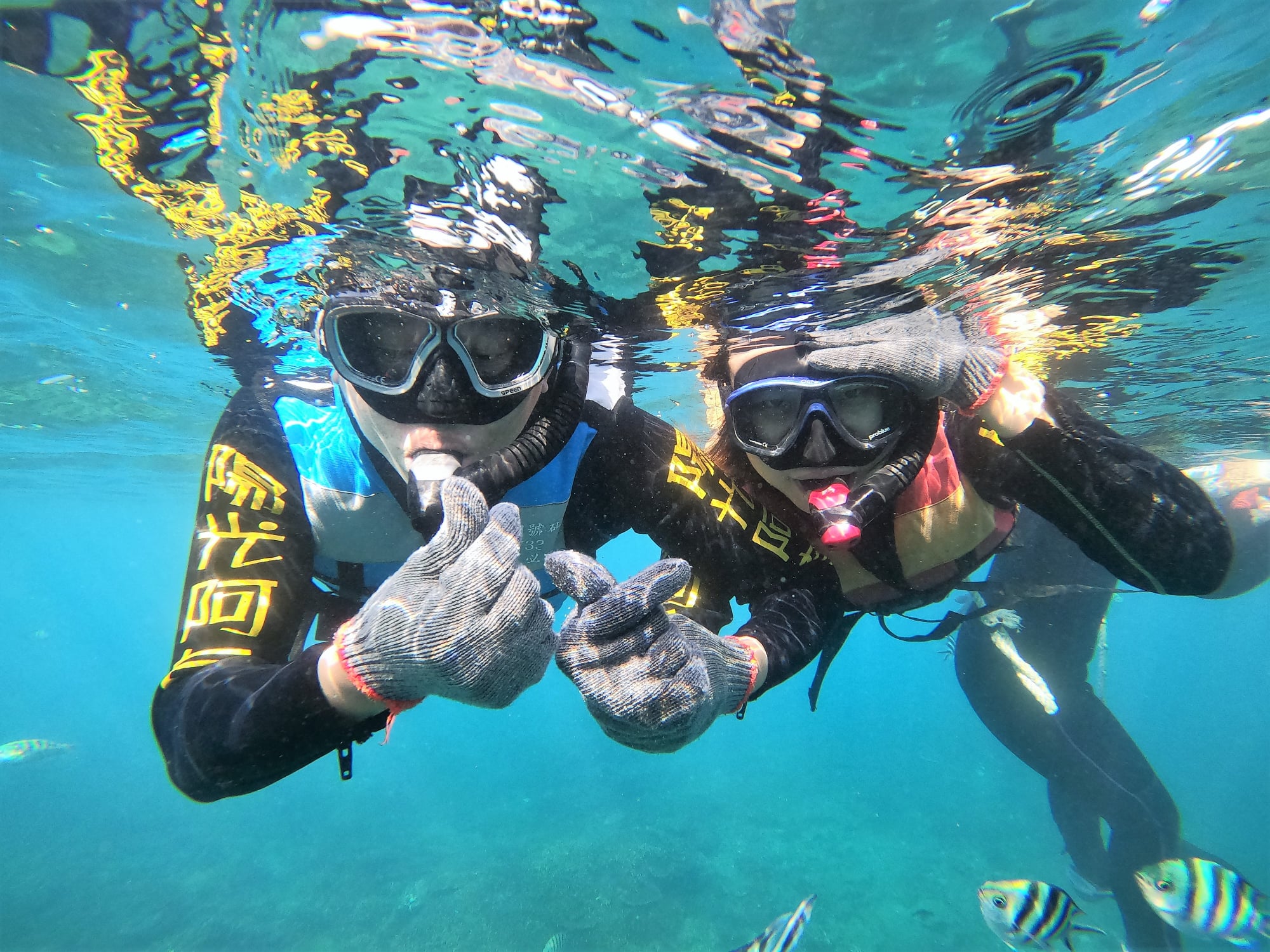 澎湖旅遊-專業浮潛